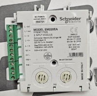 ESMI EM220EA Модуль контроля двухканальный ( FFS06717023 )